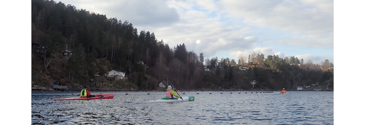Surfskitrening